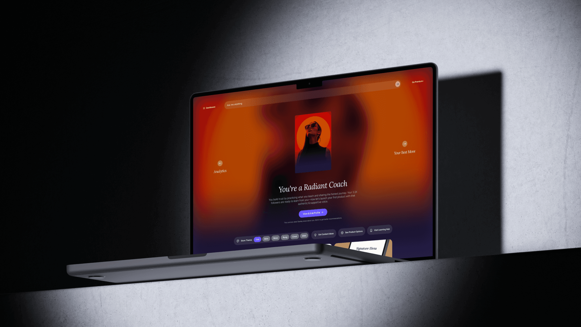 Stan web app on a laptop
