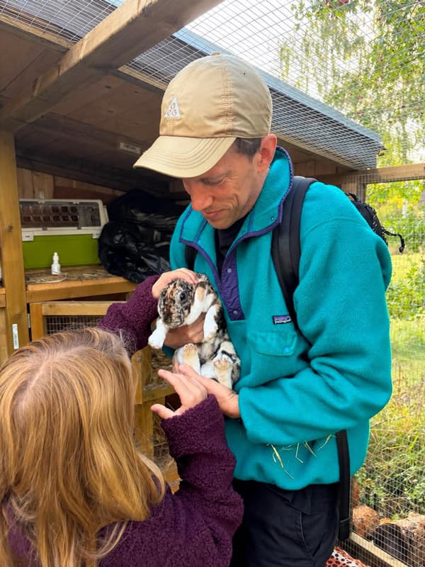 Holding a rabbit